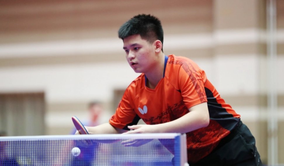 赢得了评委 赢得了评委